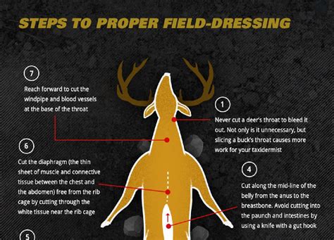 Infographic The Best Way To Field Dress A Deer Outdoorhub