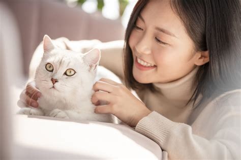 一人暮らしの大学生が猫を飼うときに気をつけるべき10のこと！｜キャリアに役立つ情報メディア｜ユアターンplus