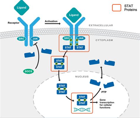 Science Recludix Pharma