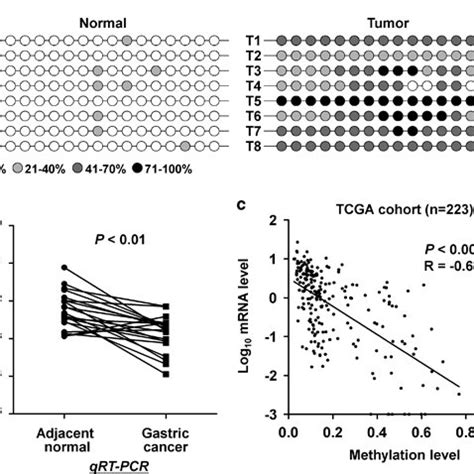 Downregulation Of RASSF10 By Promoter Methylation In Primary GCs A