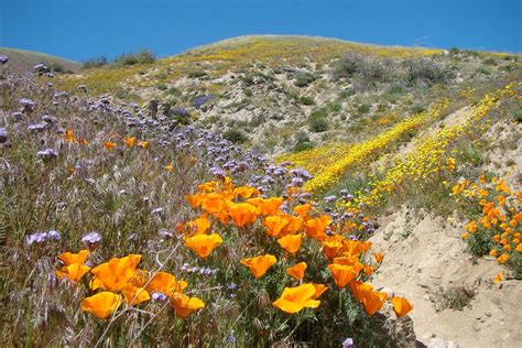 Ca 316b Antelope Valley Lake Elizabeth San Andreas Fault S Flickr