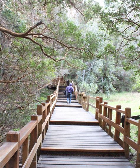 Bosque De Los Arrayanes Villa La Angostura Ce Quil Faut Savoir