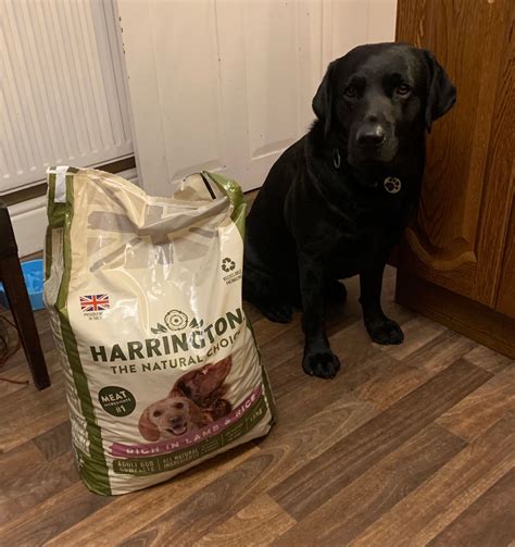 Feeding Guide - Labrador Retriever – Harringtons Customer Care