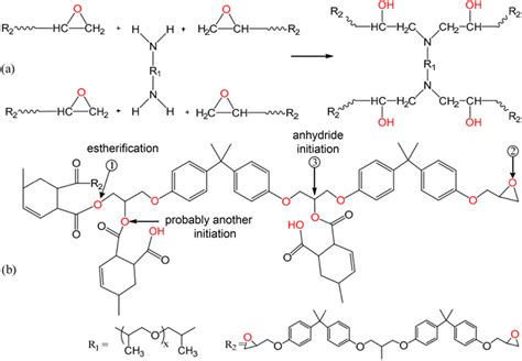 Networks Scheme Generated By Reaction Between Epoxy Dgeba And A Download Scientific Diagram