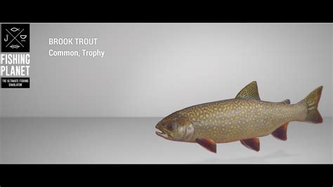 Fishing Planet Saint Croix Lake Trophy Brook Trout Feeder Youtube