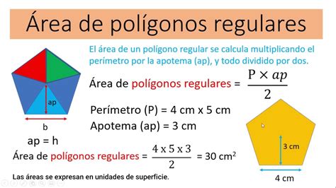 Calcula el área de un polígono regular fácilmente método preciso