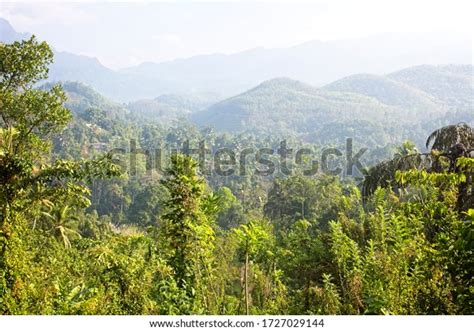 Typical Sri Lankan Jungle Mountain View Stock Photo 1727029144