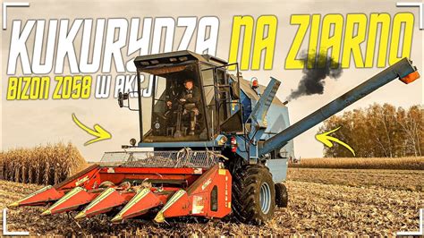 Jockerfarm Na Usługach 14t ha Kukurydza Na Ziarno 2022Bizon