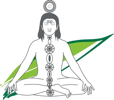 Aarogyam Ayurvedic Clinic Ayurveda Clinic In Mumbai Practo