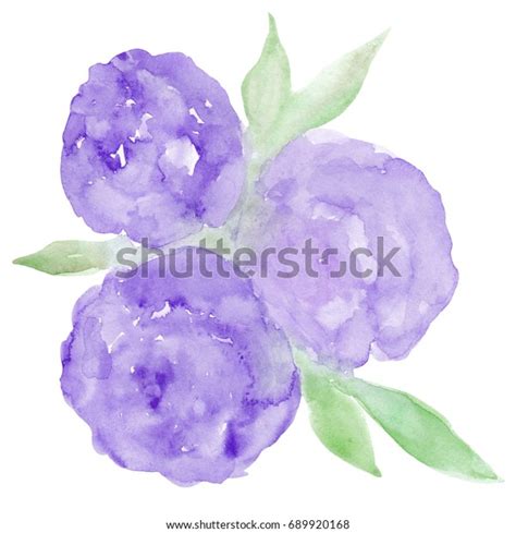 Watercolor Peonies Bouquet Isolated On White Stock Illustration