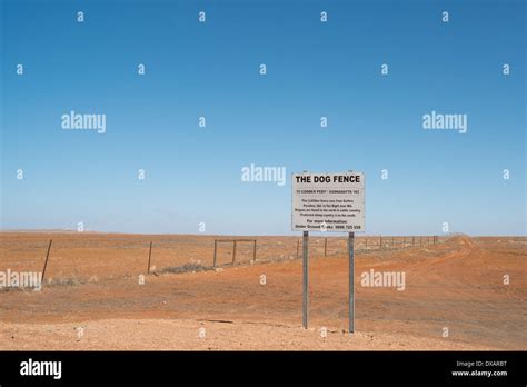 Dingo Barrier Fence High Resolution Stock Photography And Images Alamy