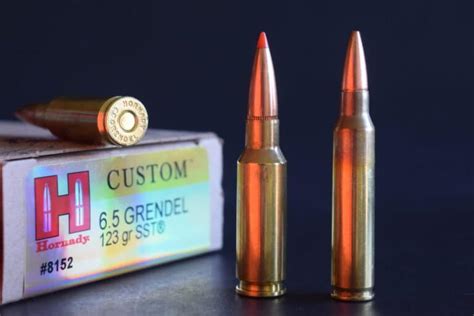 What Is The Best Ar Caliber For Hunting The Armory Life