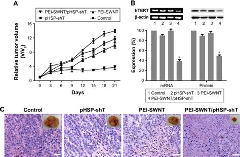 Antitumor Activity In Vivo A Relative Tumor Volume In Mice From