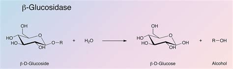 Glucosidase, Beta - Worthington Enzyme Manual | Worthington Biochemical