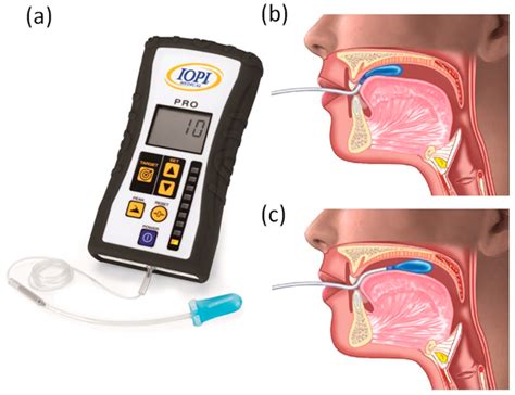 Biomedicines Free Full Text Quantitative Measurement Of Swallowing