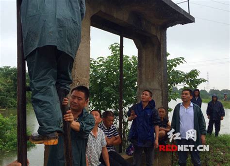 岳阳县荣家湾镇干部群众抗洪抢险一线奋战抢险水库干部新浪新闻