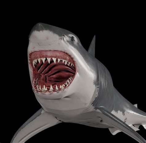 JAWS (Great White Shark) - 3D Model by Virtual creator and creature