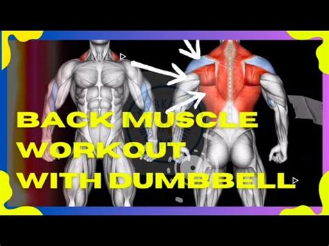 Back Muscles Workout With Dumbbell Fitness Dumbbell Musclebuilding