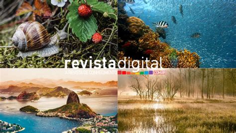 Quais S O Os Principais Tipos De Ecossistemas Revista Digital