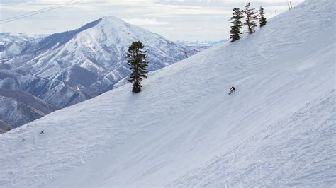 The Longest And Steepest Ski Runs In Utah LaptrinhX News