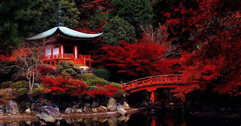 5 Dages Privat Tur Tokyo MT Fuji Nikko Kamakura Hakone GetYourGuide