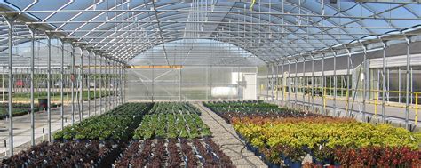 Markets Stuppy Greenhouse