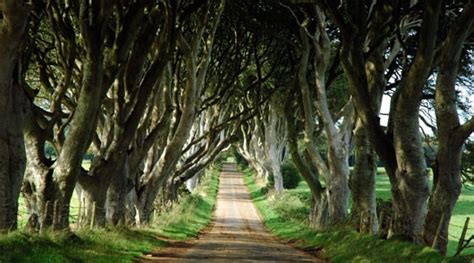 Game of Thrones Tour from Belfast with Giant's Causeway