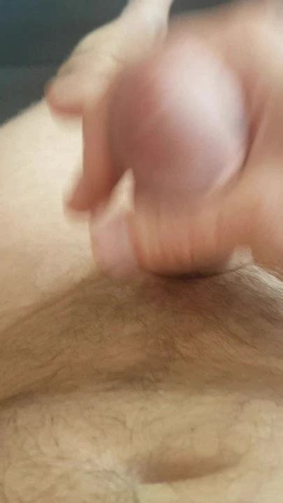 Walenie Konia Gay Porn Xhamster