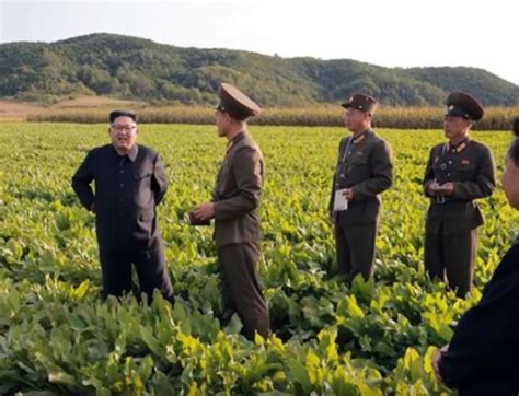 North Korea faces food crisis after "worst harvest in a decade ...