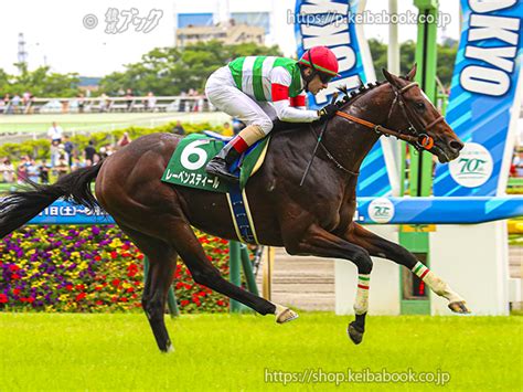 競馬ブックネットshop カラープリントアルミ枠なし2024年6月9日東京11r エプソムcゴールbレーベンスティール