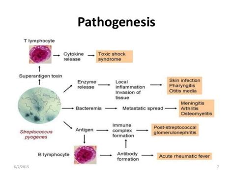 Rheumatic Fever