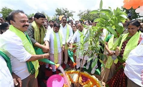 Telangana Launches Drive To Plant Crore Saplings In Manchirevula