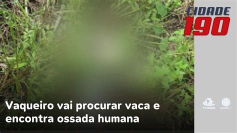 Vaqueiro Vai Procurar Vaca E Encontra Ossada Humana Em Fazenda YouTube