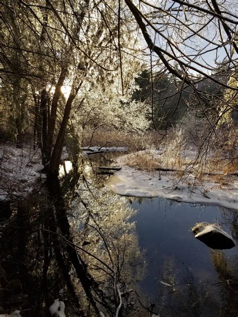 We got an ice storm in Massachusetts yesterday, this is from my walk this morning : r/pics