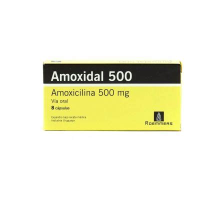 Contex Ibl Amoxicilina Sulbactam Caja De Suspensi N Ml