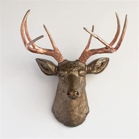 Rustic Mounted Deer Head Taxidermy Ubicaciondepersonas Cdmx Gob Mx