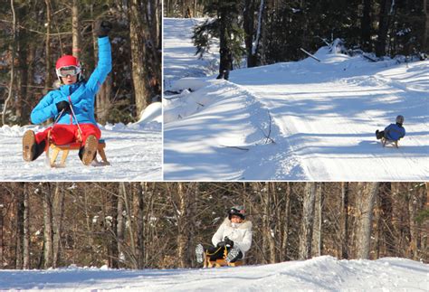 Luge Alpine Au Qu Bec Une Exp Rience Authentique Maintenant Offerte