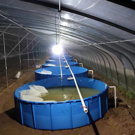 Lvju Indoor Shrimp Fish Farming Tank Aquaculture Large Pvc Water Tanks