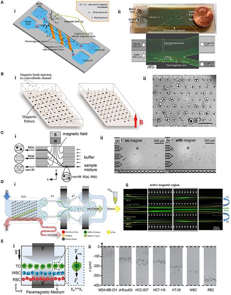 Frontiers Magnetic Force Based Microfluidic Techniques For Cellular