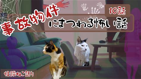 【怖い話】【猫動画】【猫が語る不思議な話】怪談ねこ語り 事故物件にまつわる怖い話10話 Youtube