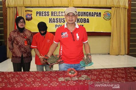 Polisi Agam Tangkap Pengedar Ganja Tanpa Perlawanan ANTARA News