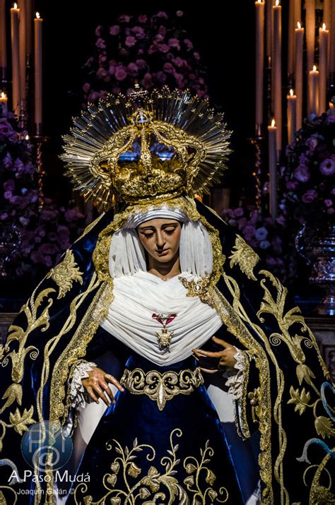 Besamanos Virgen de Regla de Los Panaderos 2 017 A paso mudá