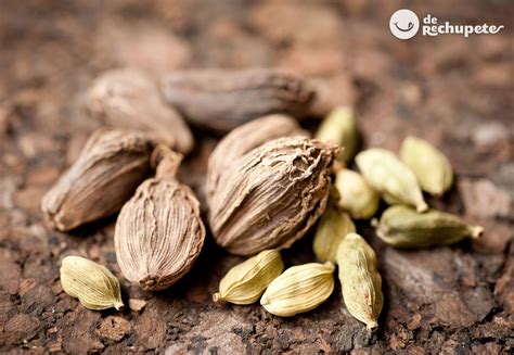 Cardamomo Origen Para Qu Sirve Usos En Cocina Beneficios Y D Nde