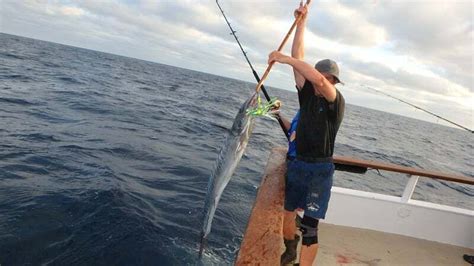 Fishermans Landing San Diego Ca Fishing Charters