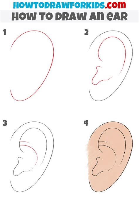 How To Draw An Ear Artofit