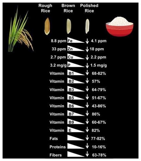 Agronomy Free Full Text Rice Biofortification High Iron Zinc And