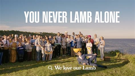 Mlas Inclusive Lamb Ad Wins For Third Year Running Nsw