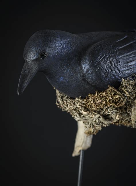 Corbeau Animaux Sculpture En Papier M Ch M Lanie Bourlon