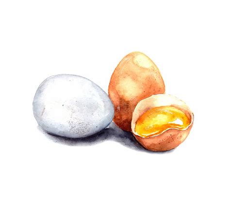 Ilustración Acuarela De Tres Huevos De Gallina Y Un Huevo Roto Aislado