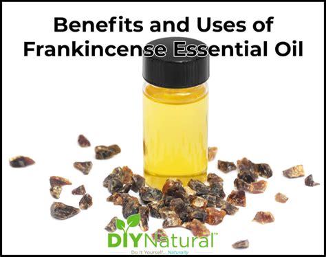 Frankincense Essential Oil The Uses And Benefits Of Frankincense Oil